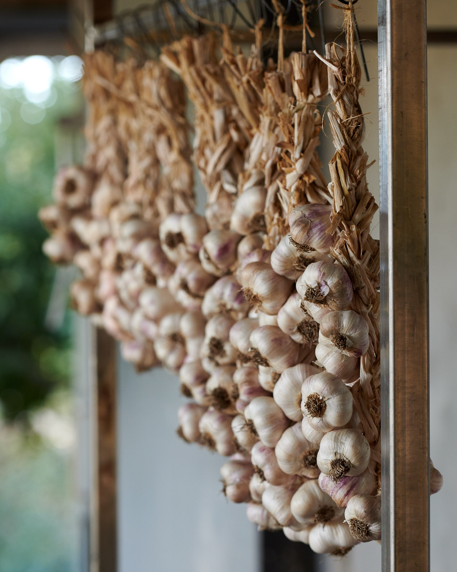 Garlic Hanging Napa Valley