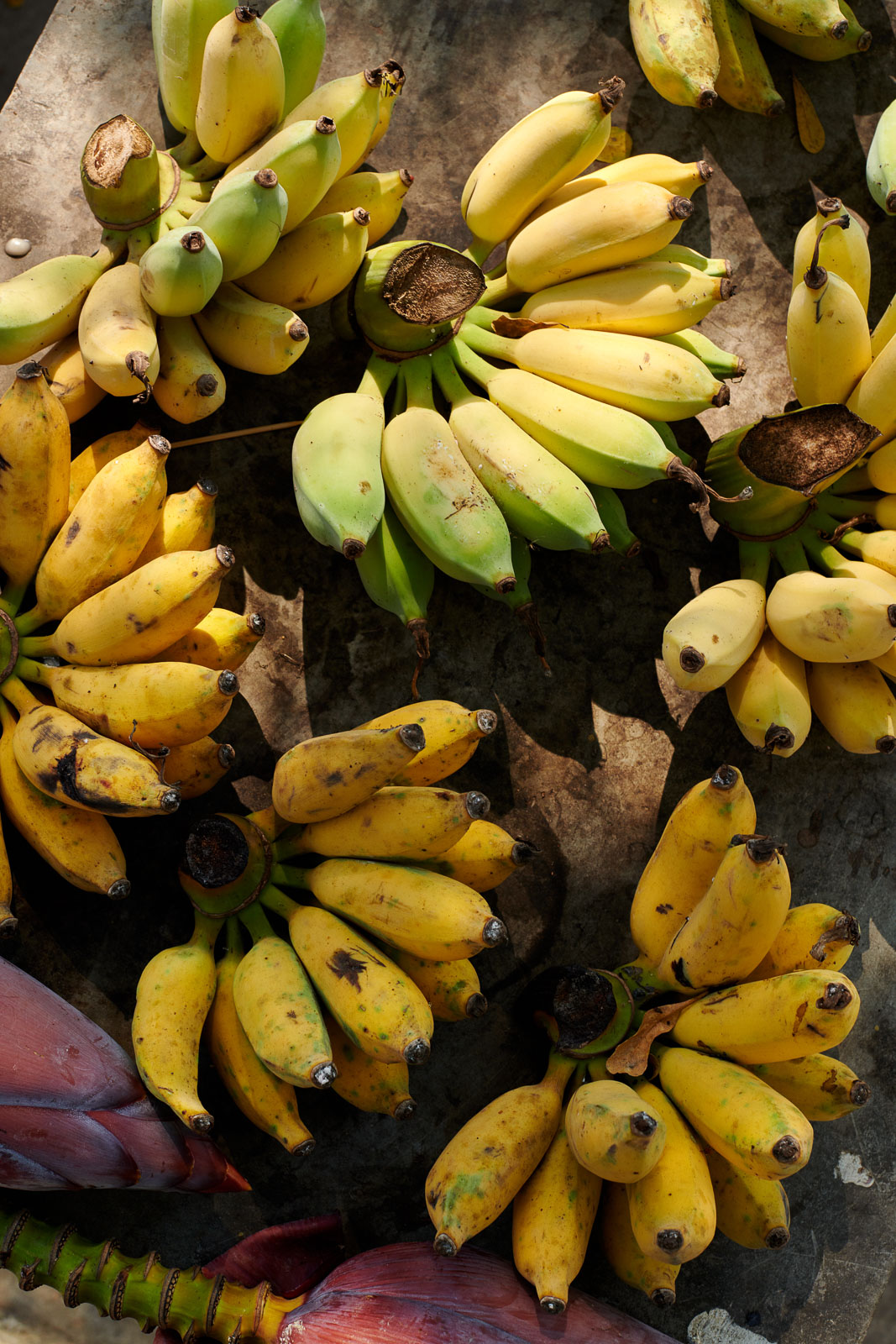 Small Bananas Food Asia