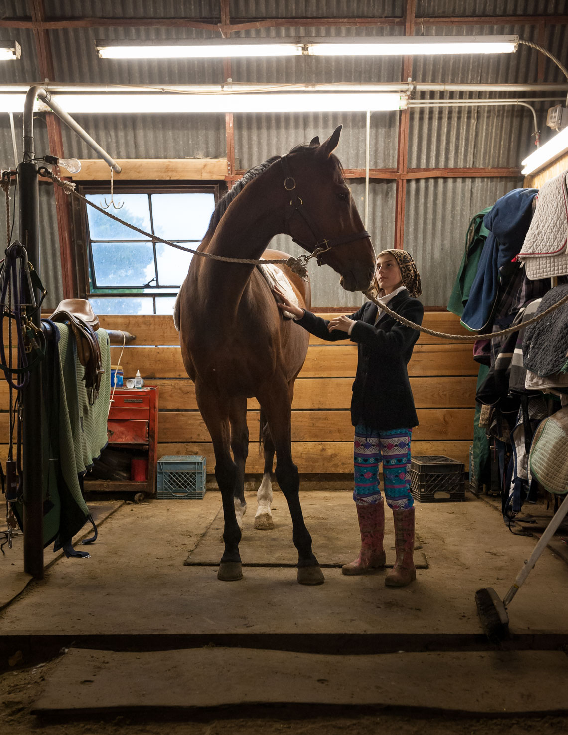 Portrait of Girl and Horse Reno