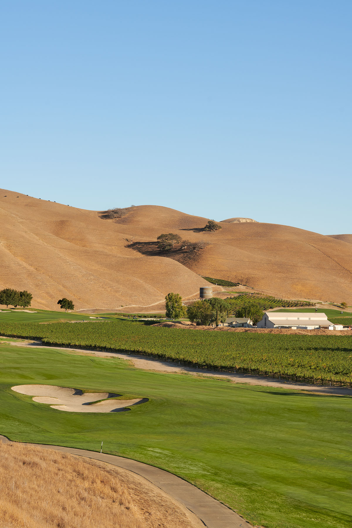 Landscape Golf Agriculture San Francisco