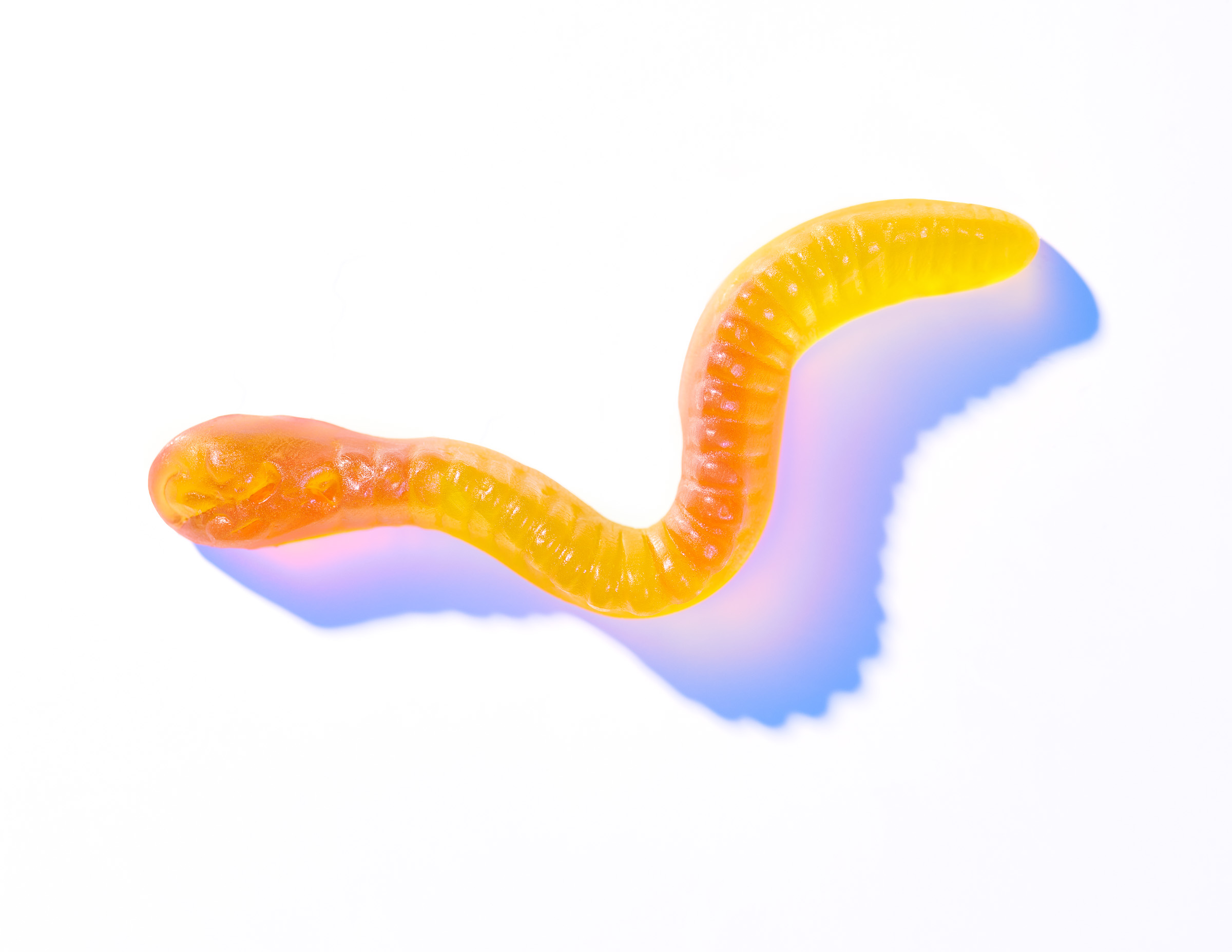 Gummy Worm Personal Project Oakland