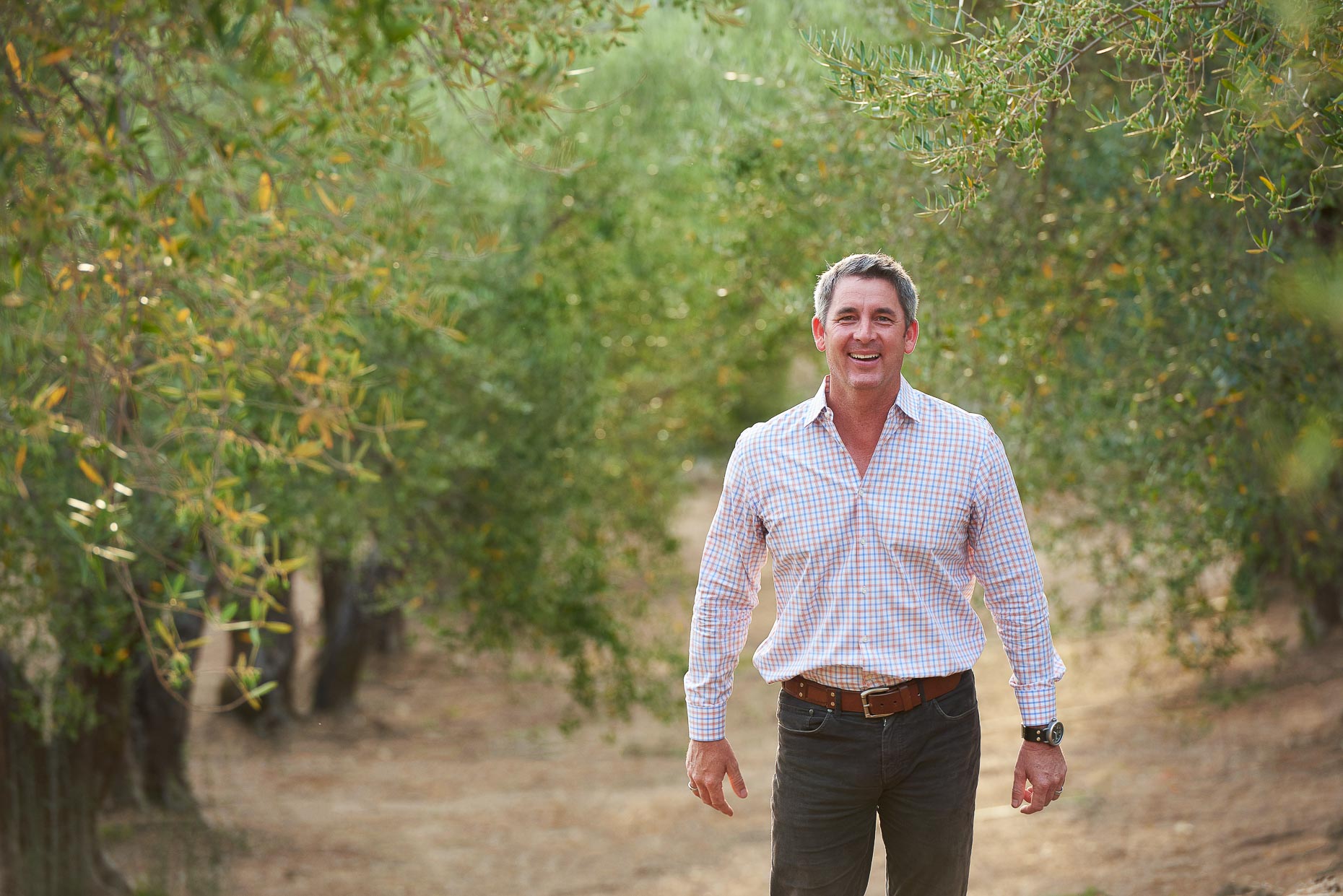Olive Grove Portrait Napa Valley 